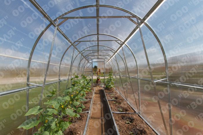 Siltumnīca DAČNAJA DVUŠKA 8m